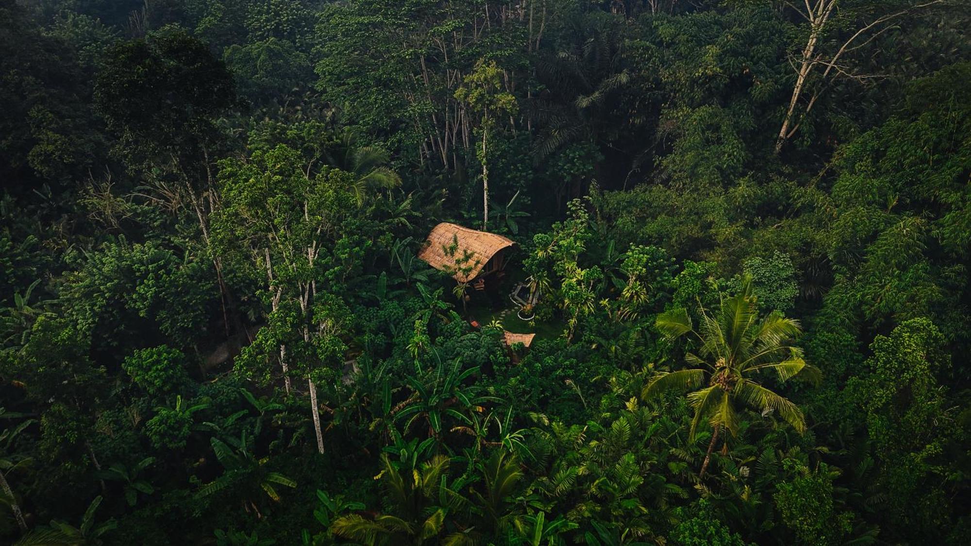 Arcada Bali Bamboo House Villa Sidemen  Eksteriør billede