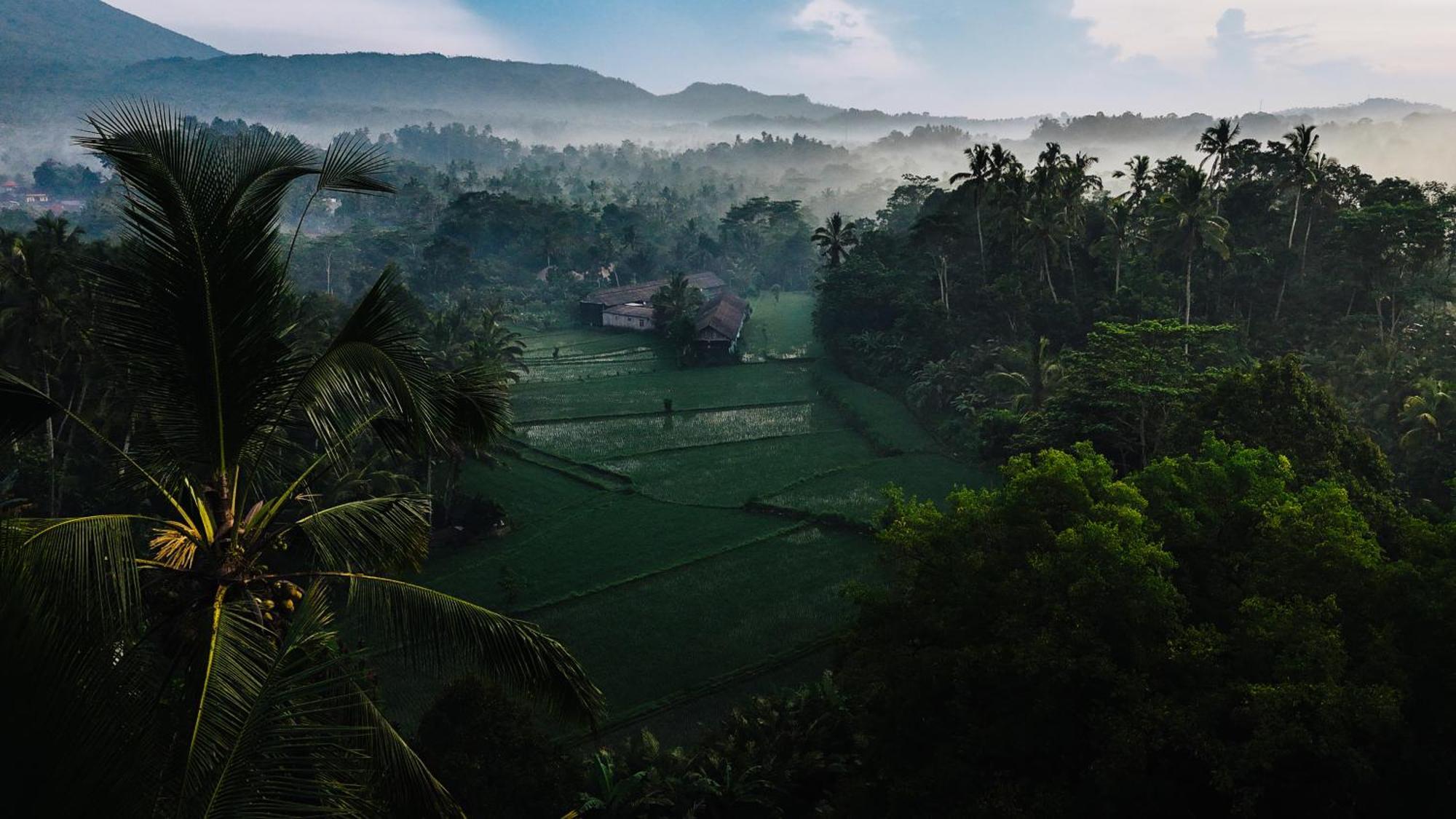 Arcada Bali Bamboo House Villa Sidemen  Eksteriør billede
