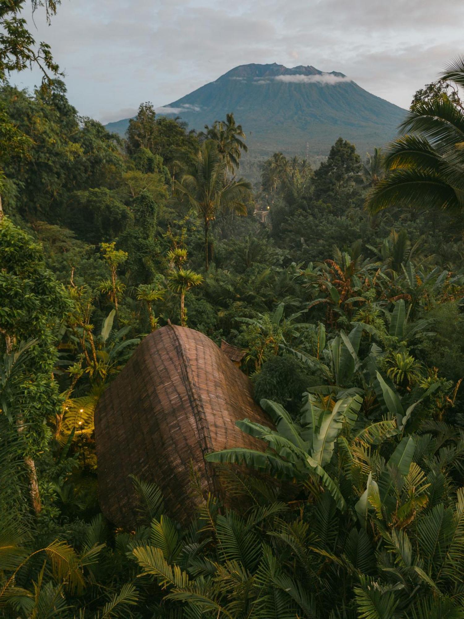 Arcada Bali Bamboo House Villa Sidemen  Eksteriør billede